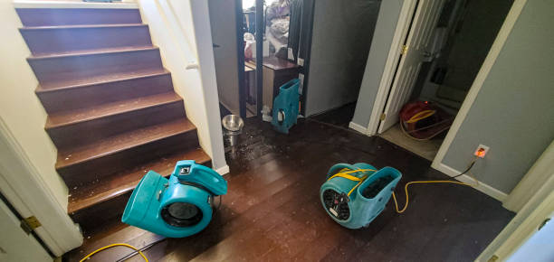 Best Commercial water damage restoration  in Kent, OH