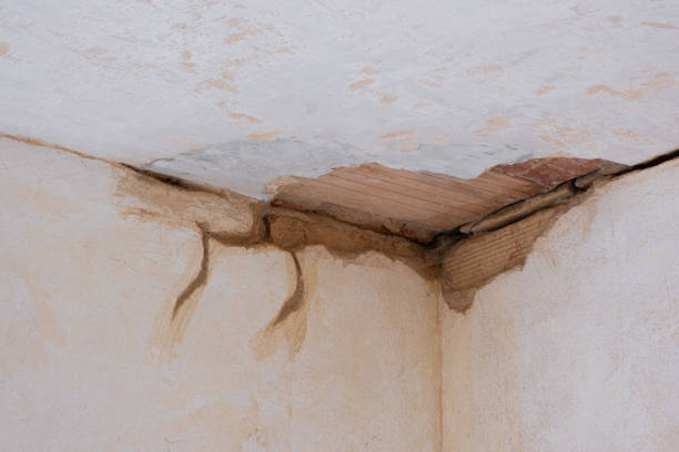 Best Sewage cleanup and water damage restoration  in Kent, OH